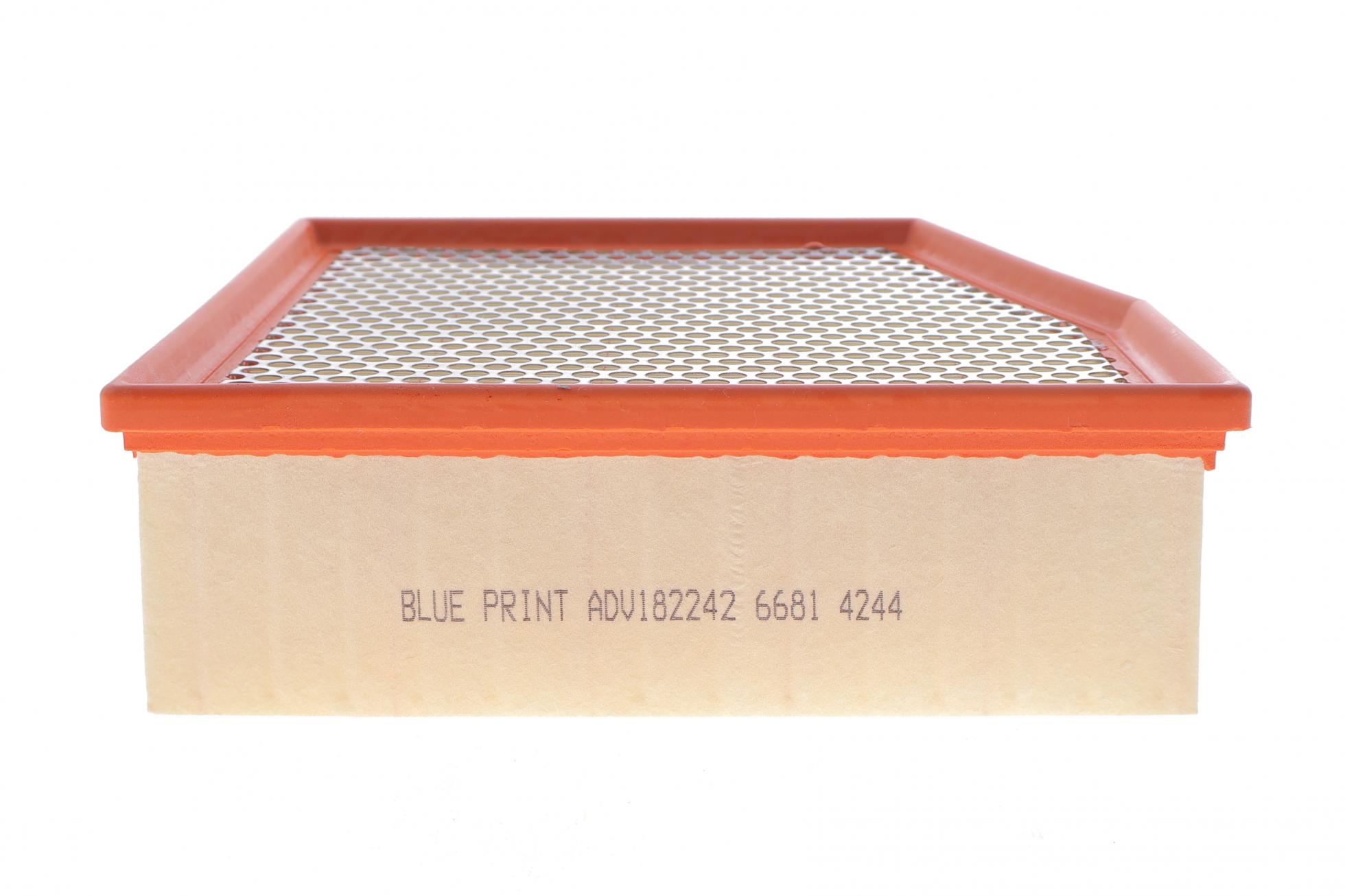 ADV182242 BLUE PRINT